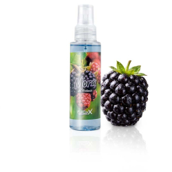 Assainisseur d’air 100 ml MÛRE